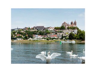 Casa per le vacanze Ihringen Ambiente 27