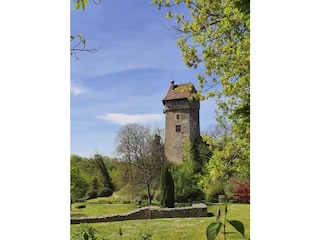 Maison de vacances Ihringen Environnement 28