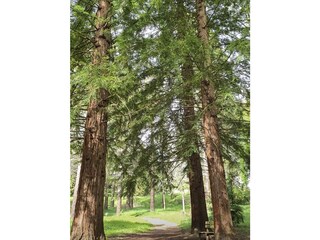 Vakantiehuis Ihringen Omgeving 30