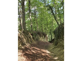 Casa de vacaciones Ihringen Entorno 31