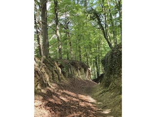 Maison de vacances Ihringen Environnement 31