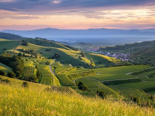 Maison de vacances Ihringen Environnement 37