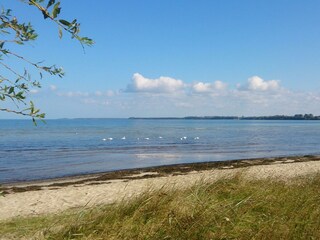 Strand von Zierow