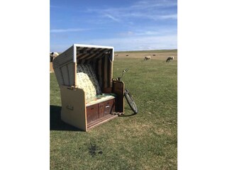 Appartamento per vacanze Hedwigenkoog Ambiente 11