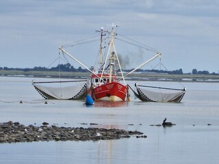 Appartamento per vacanze Hedwigenkoog Ambiente 13