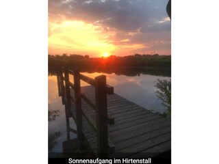 Appartamento per vacanze Hedwigenkoog Ambiente 15