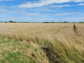 Appartamento per vacanze Hedwigenkoog Ambiente 16