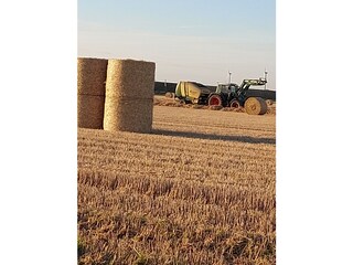 Appartamento per vacanze Hedwigenkoog Ambiente 17