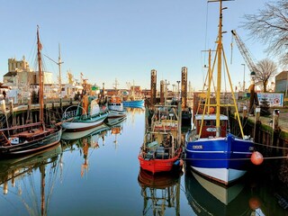 Appartamento per vacanze Hedwigenkoog Ambiente 30