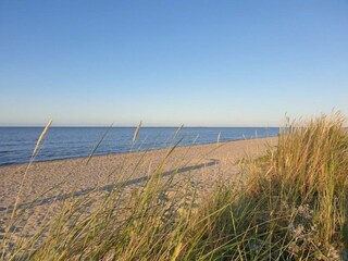 am Strand