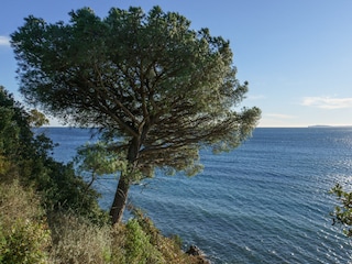 Villa La Croix-Valmer  28