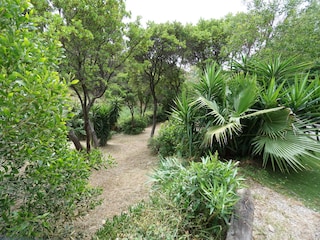 gepflegte Gartenanlage