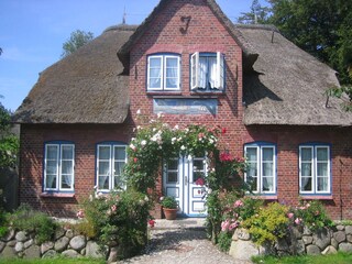 Friesenhaus in Nebel