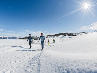 Appartement de vacances Bruneck Environnement 29