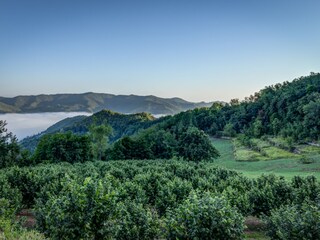 Casa per le vacanze Cortemilia Registrazione all'aperto 10