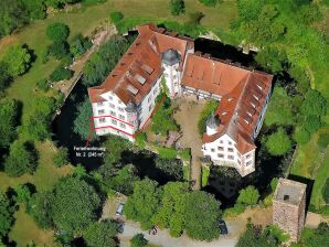 Castle Residence „Schloss Lohrbach“ Apartment No.2 - Mosbach - image1
