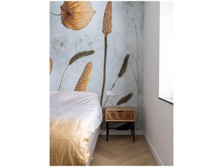 Villa Buren Caratteristiche 20