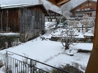 Blick in den verschneiten Garten