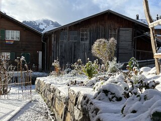 Garten mit Rinderberg