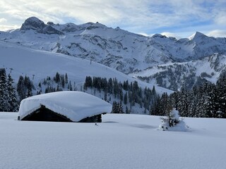 Skigebiet Adelboden/Lenk