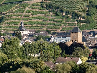 Vineyards Bad Neuenahr