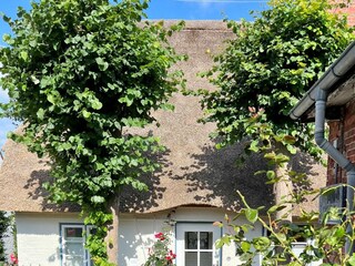 Fassade / Eingang