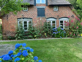 Ferienhaus Alkersum  10