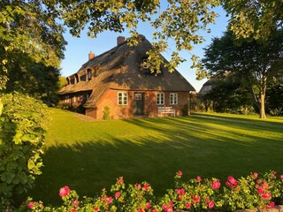 Ferienhaus Alkersum  11