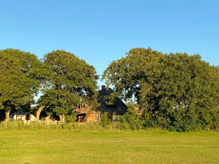 Ferienhaus Alkersum Außenaufnahme 8