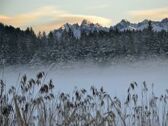 Nebel über dem Wildsee