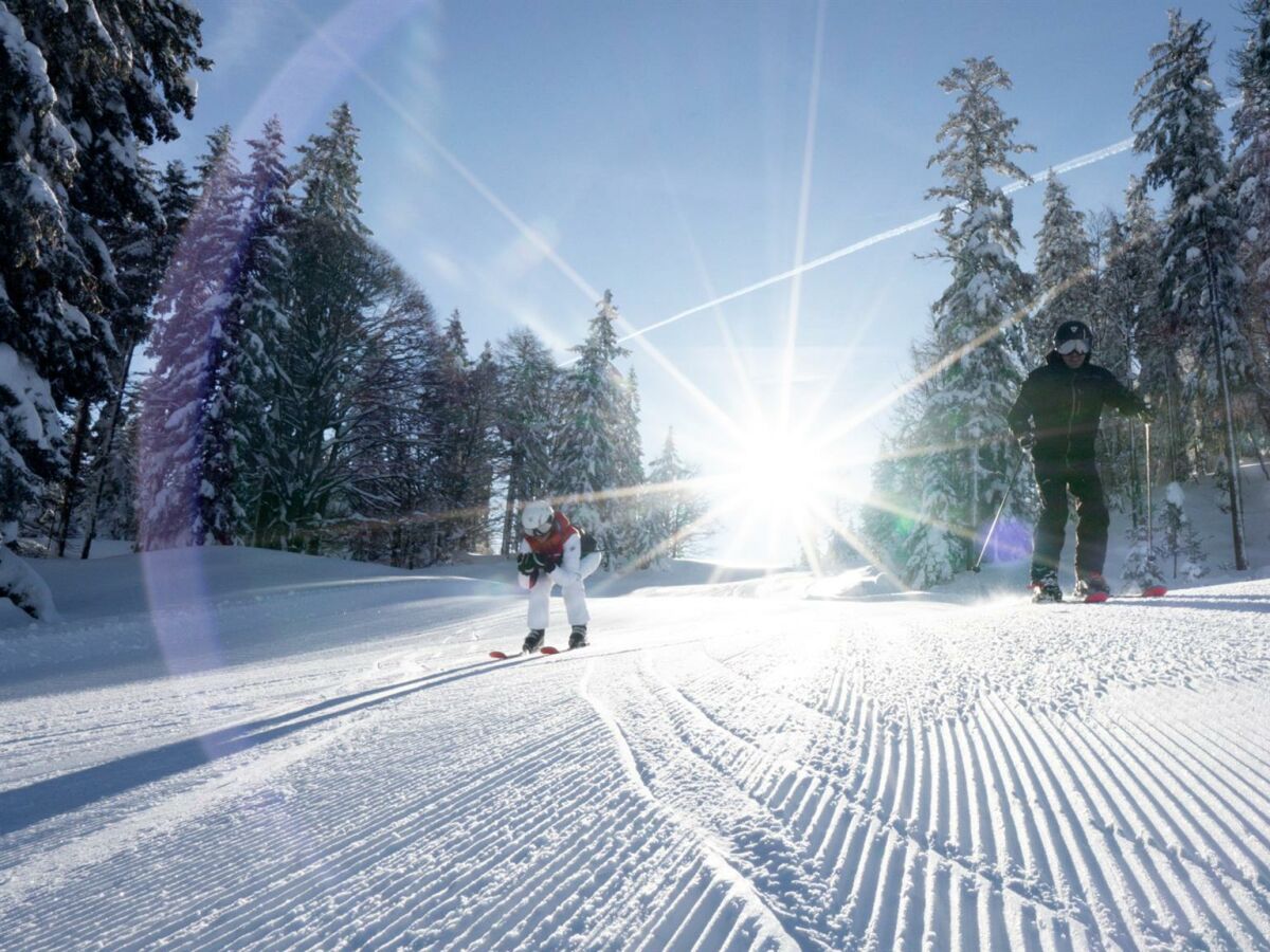 Skifahren in Seefeld