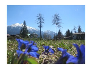 Traumlage in Seefeld- Landhaus Charlotte