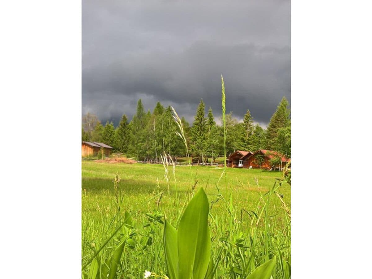 Frühsommergewitter