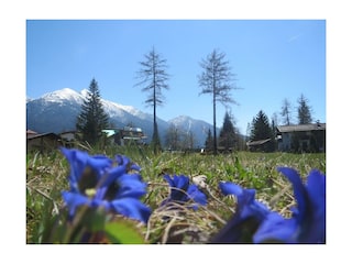 Traumlage in Seefeld- Landhaus Charlotte