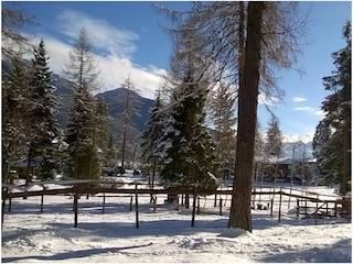 Winterbild
