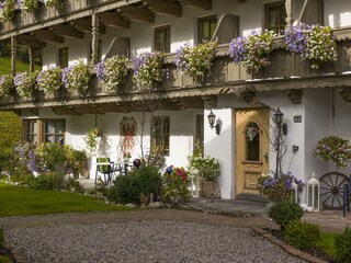 Blumenpracht - Seepension Knappenhof