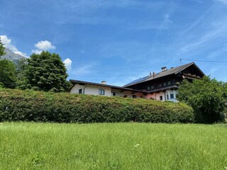 IMG_1932