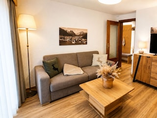 Appartements Alpenland Typ D (4)