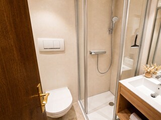 Appartements Alpenland Typ D (10)