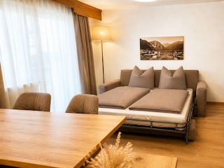 Appartements Alpenland Typ D (12)