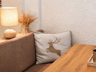 Appartements Alpenland Typ C (7)