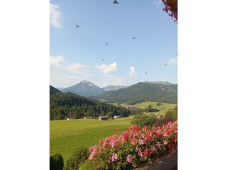 Aussicht (2)