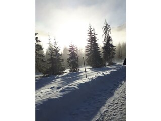 Winterstimmung in der Tristenau