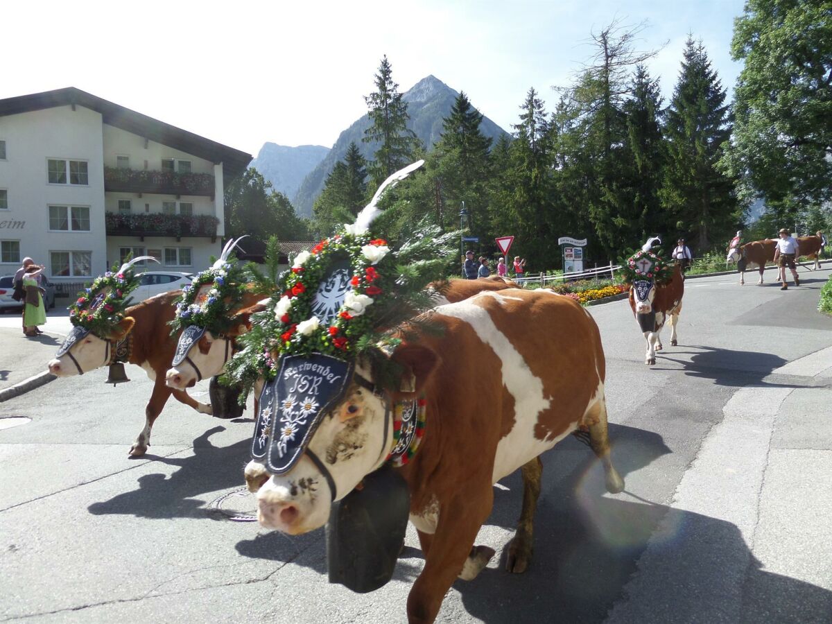 Almabtrieb 2019 am Haus vorbei