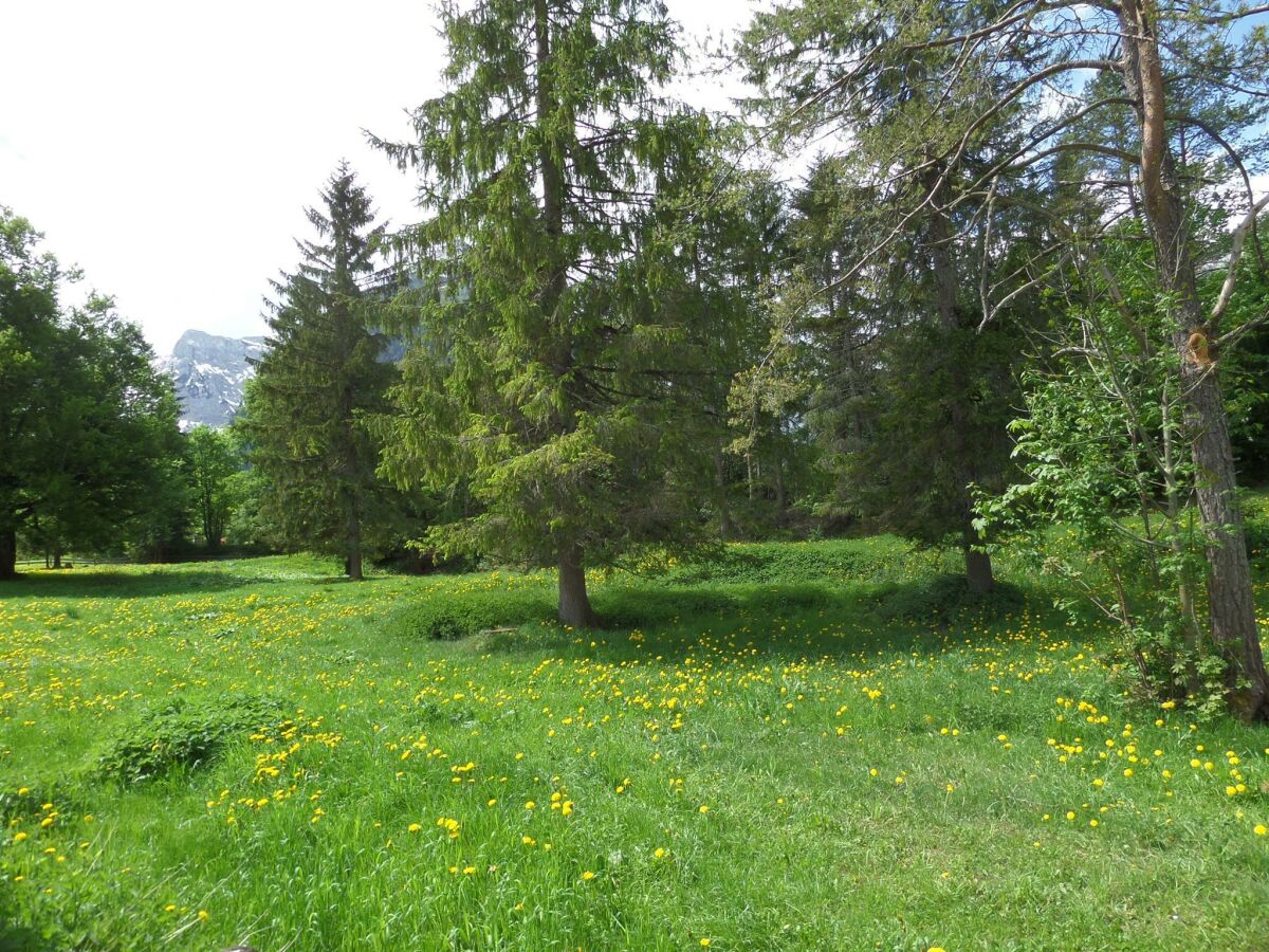 Blick Richtung Golfplatz