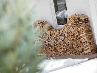 Holz (2)