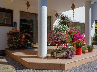 blumiger Empfang