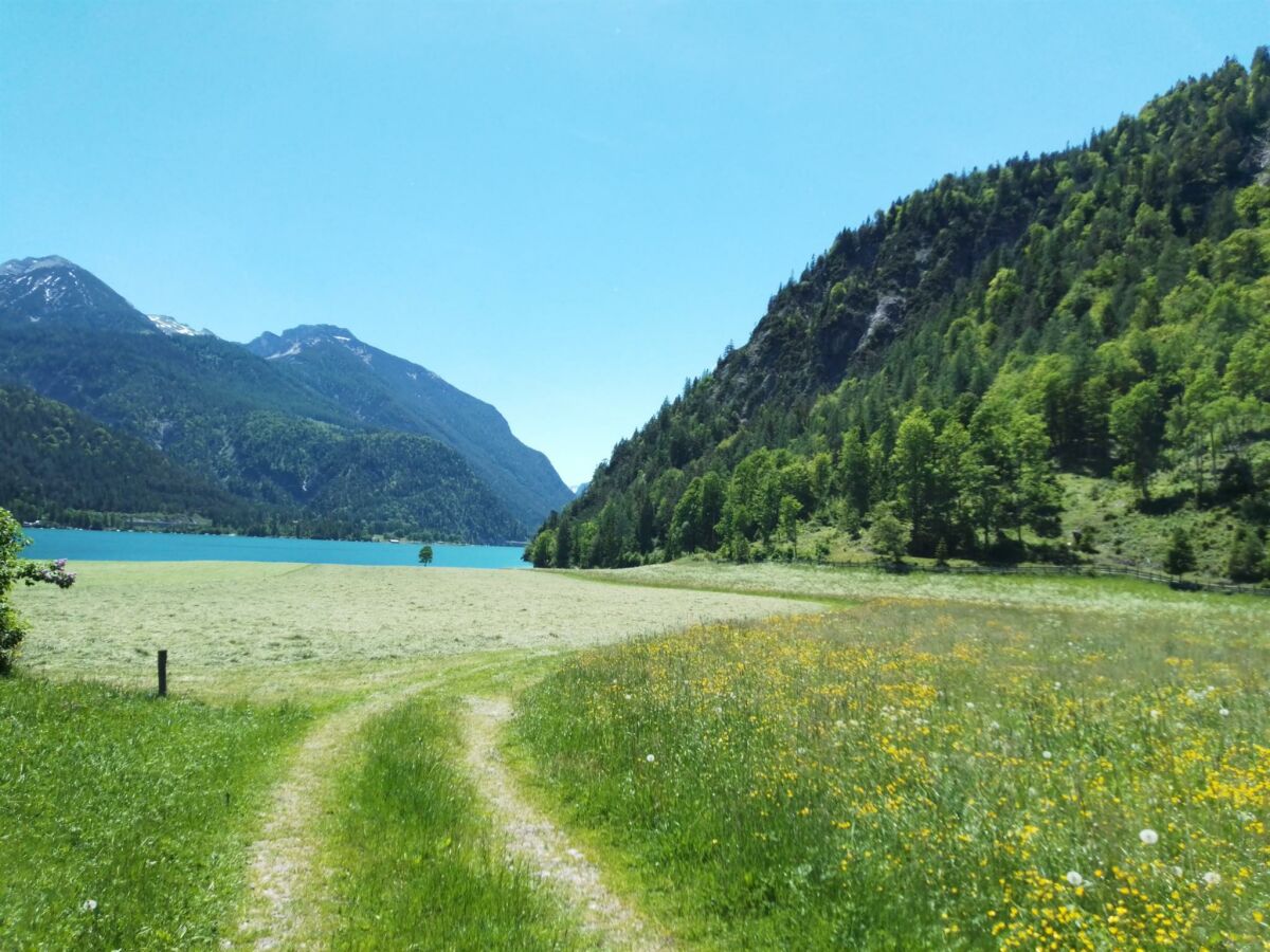 Ferienwohnung Hinterwinkl - Sommer