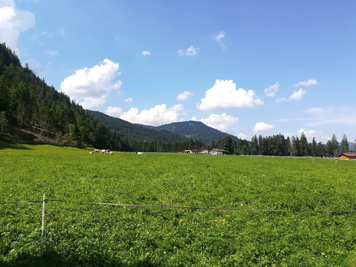 Ferienwohnung Hinterwinkl - Blick vom See zum H.