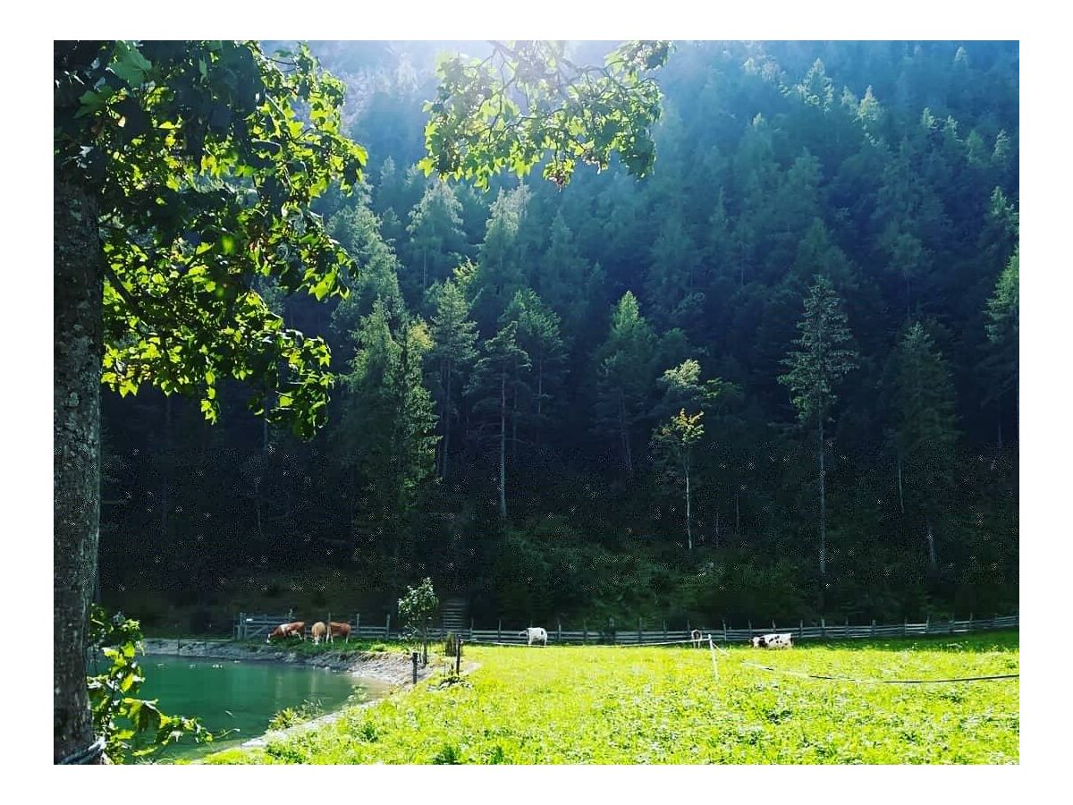 Ferienwohnung Hinterwinkl - Liegewiese am See